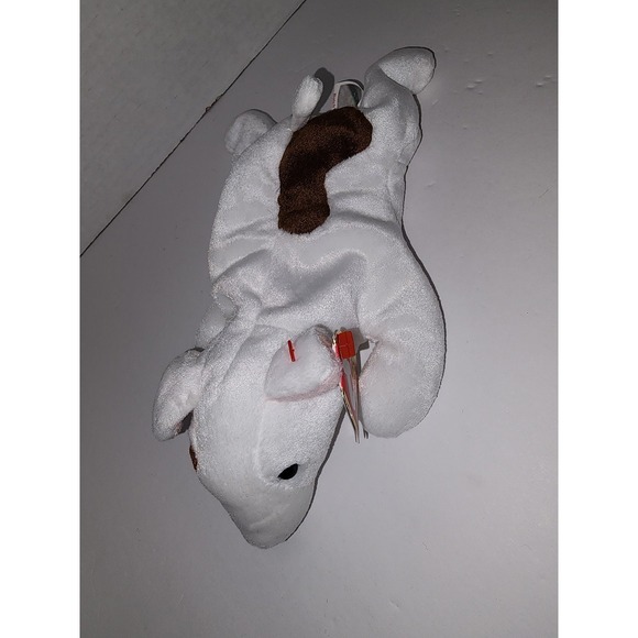 Ty‎ Beanie Babies Butch The Bull Terrier Dog Plush - Picture 1 of 7